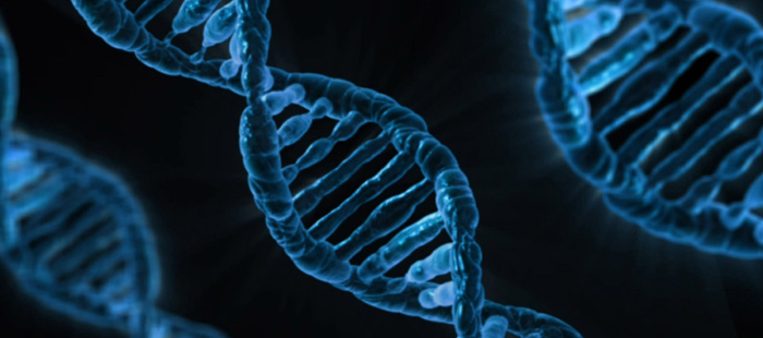 潍坊市利民化工有限公司